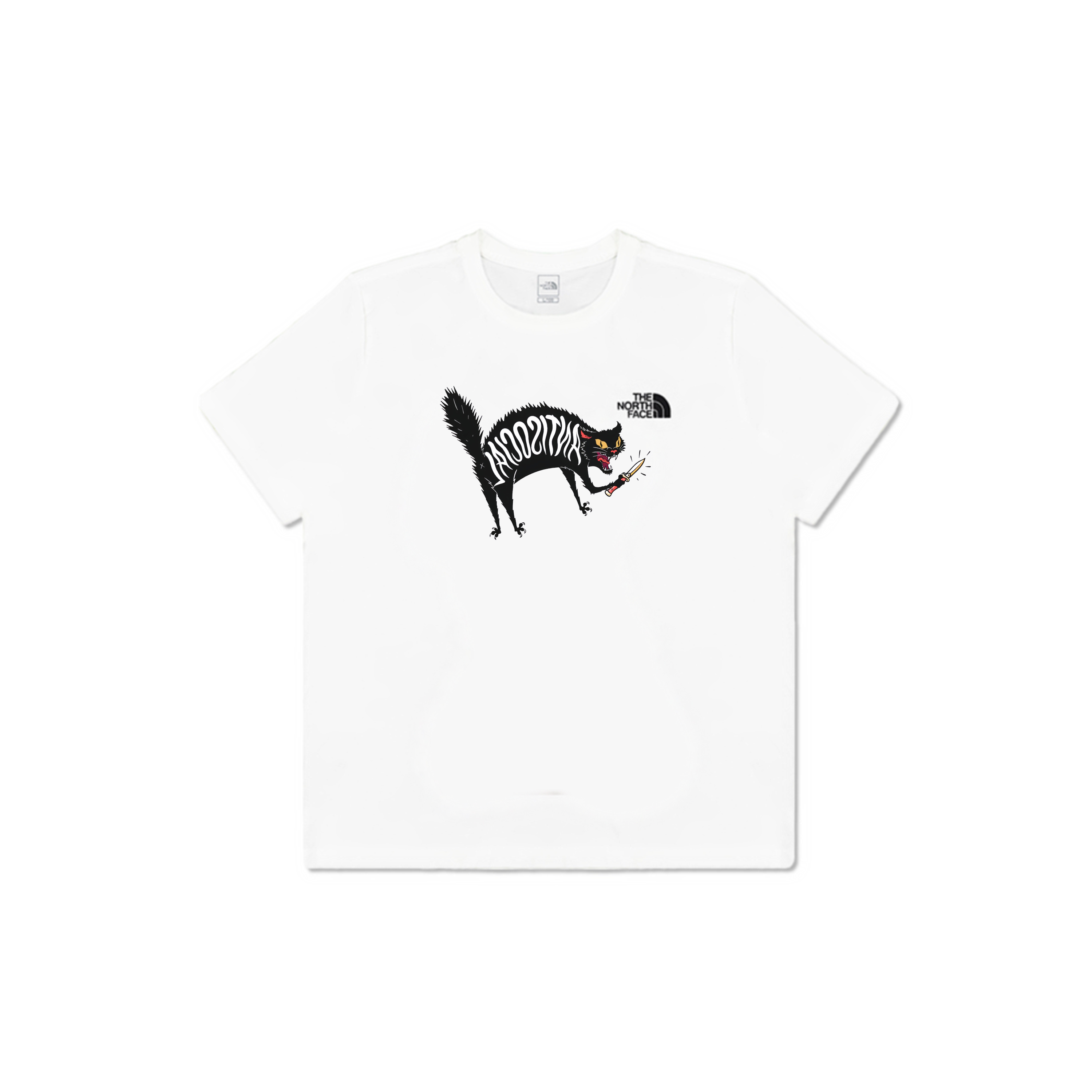 

THE NORTH FACE Футболка мужская белая, Белый, THE NORTH FACE Футболка мужская белая