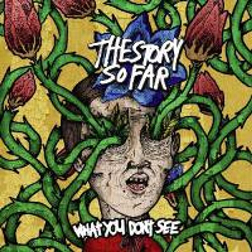 

Диск CD What You Don't See - The Story So Far