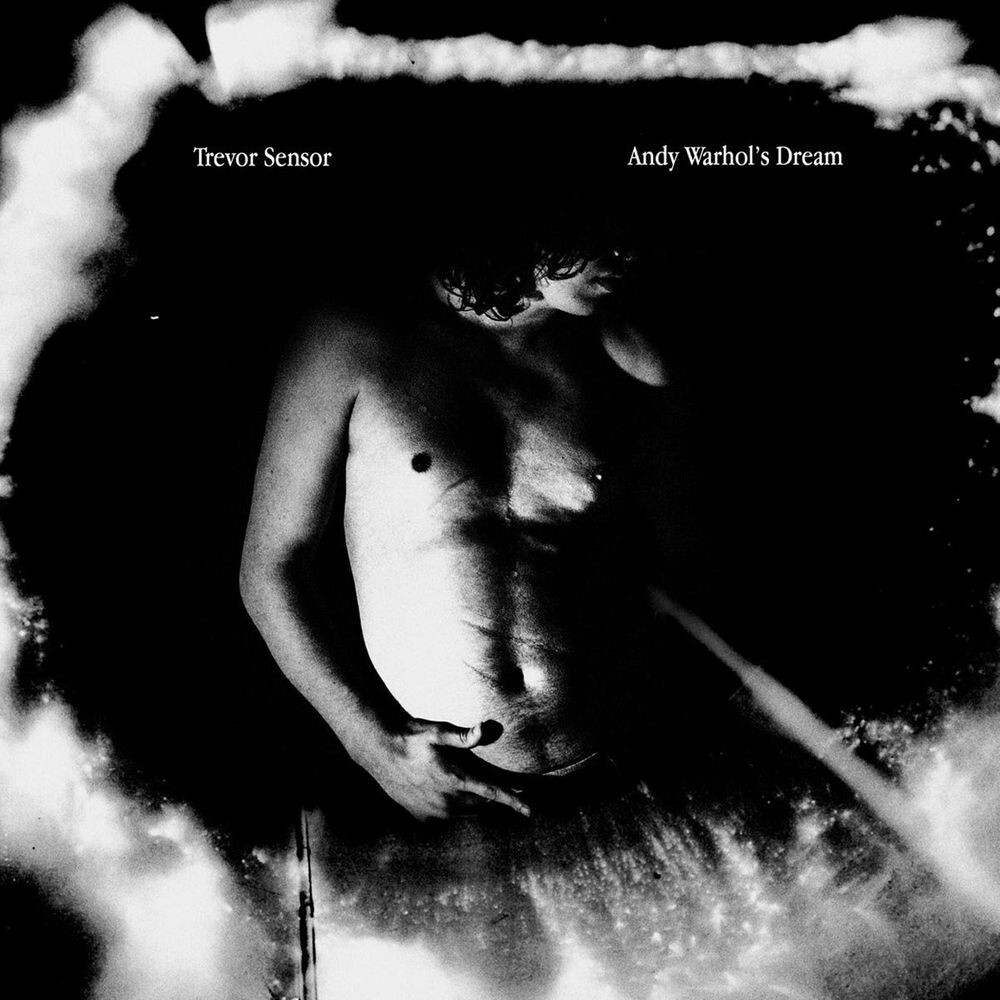 

Диск CD Andy Warhol's Dream - Trevor Sensor