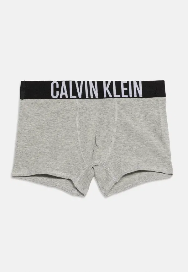 Трусы боксеры 2 шт Calvin Klein Underwear, сине-серый — фото 3