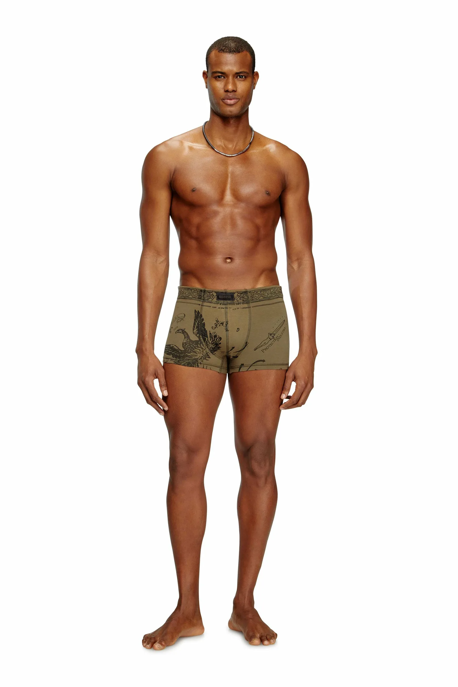 Мужские боксерские трусы DAMIEN-UTLT Diesel, Khaki Brown