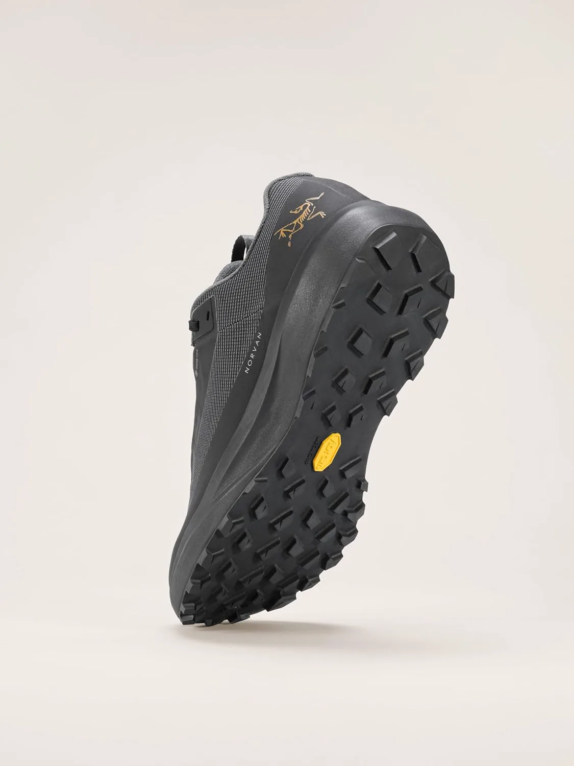 Мужские кроссовки Arc'teryx Norvan LD 4 GTX - Водонепроницаемые для трейлраннинга, предназначены для длительных пробежек в горах, черный — фото 3