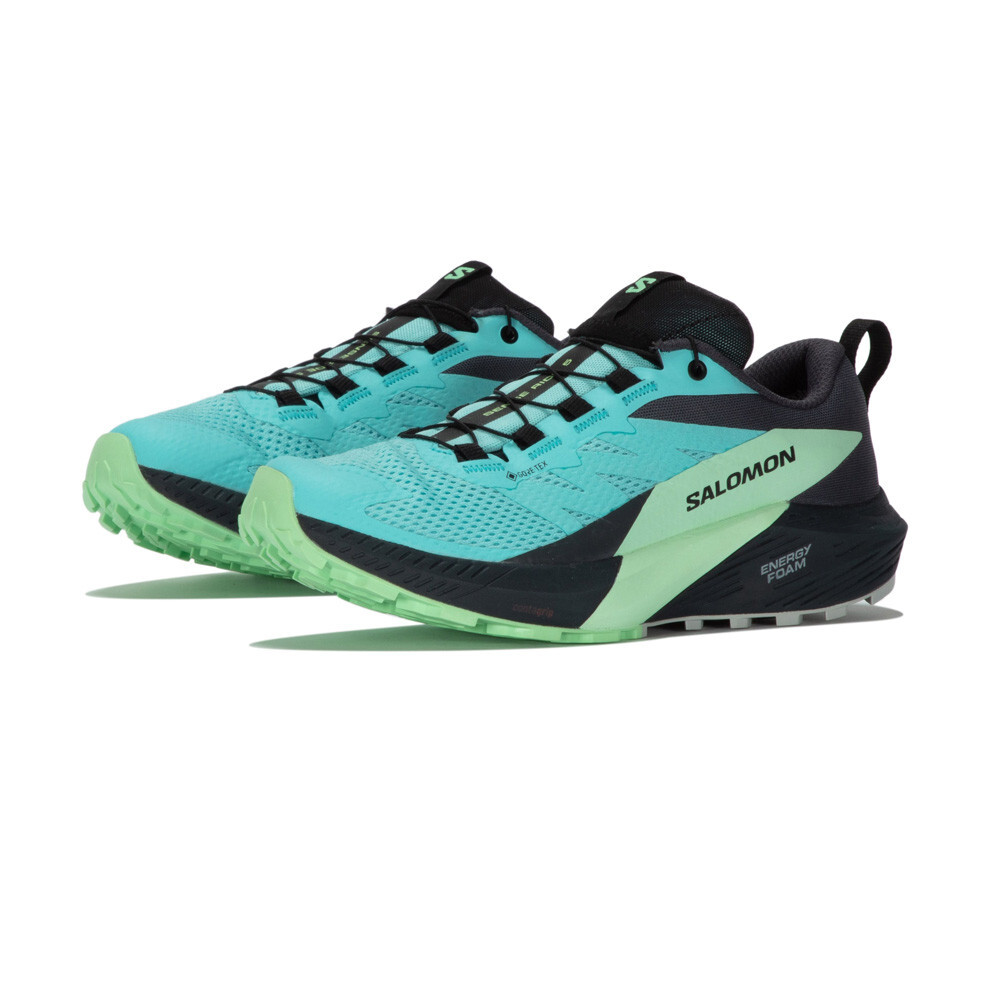 

Кроссовки для бега Salomon Sense Ride 5 GORE-TEX Trail, синий
