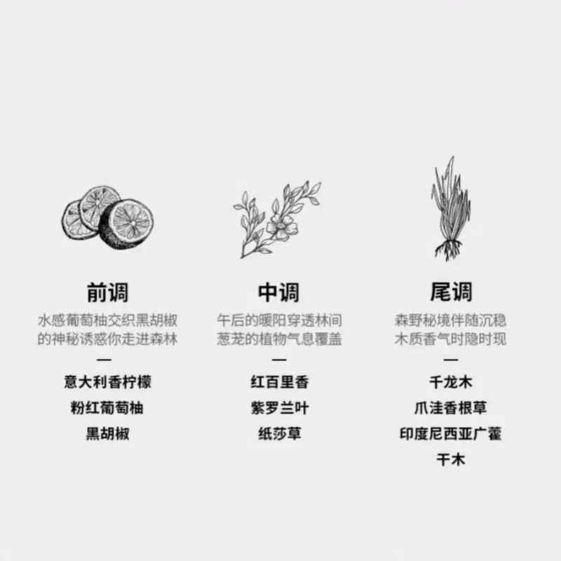 Твердые духи Forest Shower MUJI 8G — фото 2