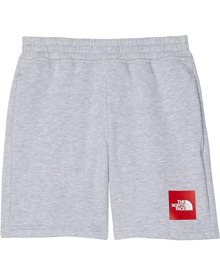 

Шорты The North Face Camp Fleece Shorts, цвет TNF Light Grey Heather