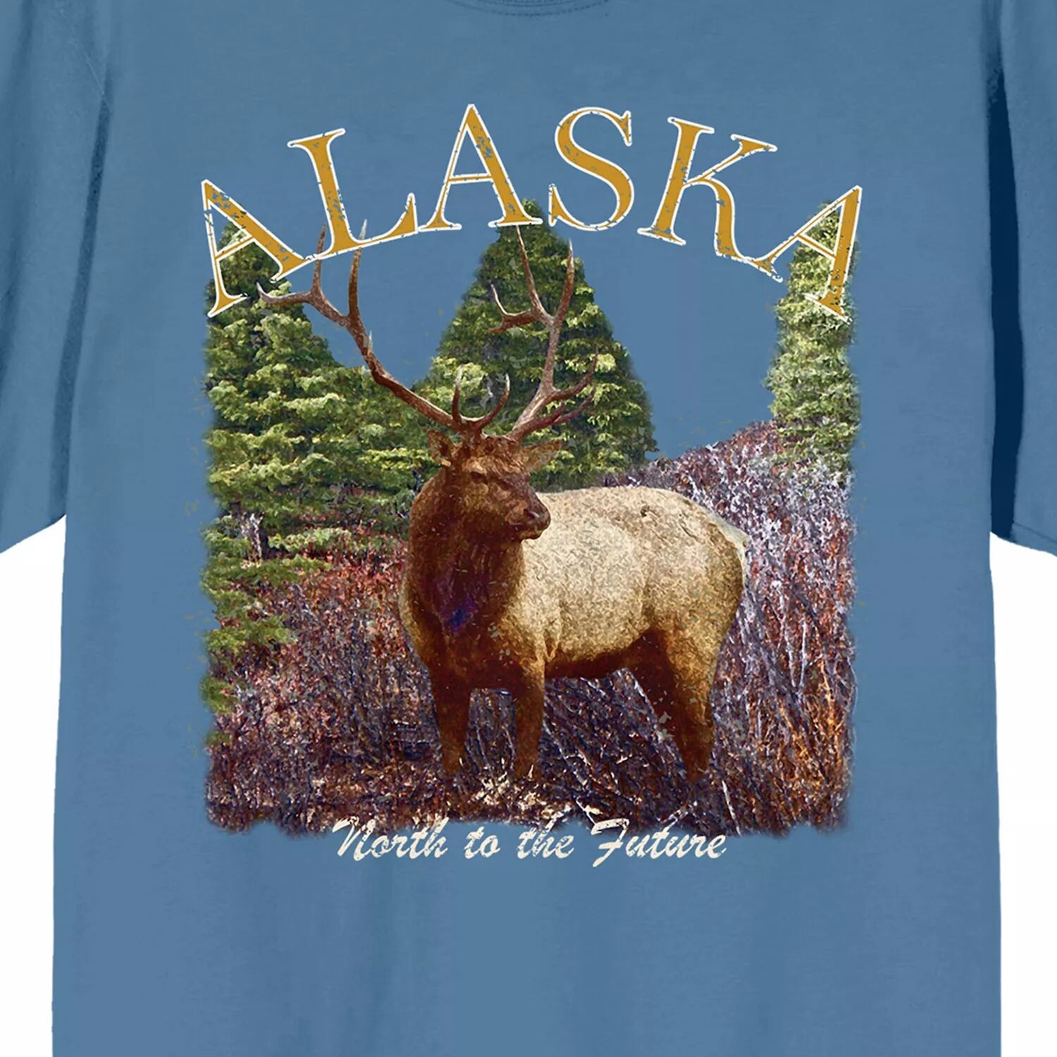 

Футболка Men's Adventure Society Alaska Licensed Character