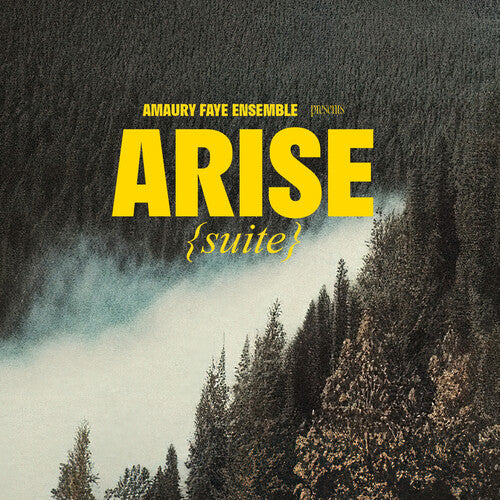 

CD диск Faye, Amaury Ensemble: Arise (suite)