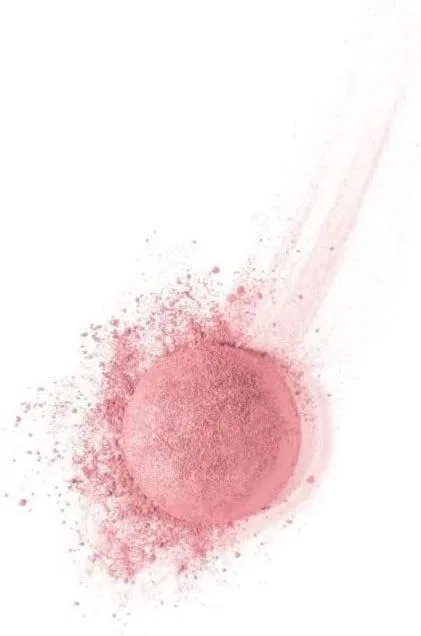 Румяна «Fard Joues 34» от Bourjois Bourjois — фото 2