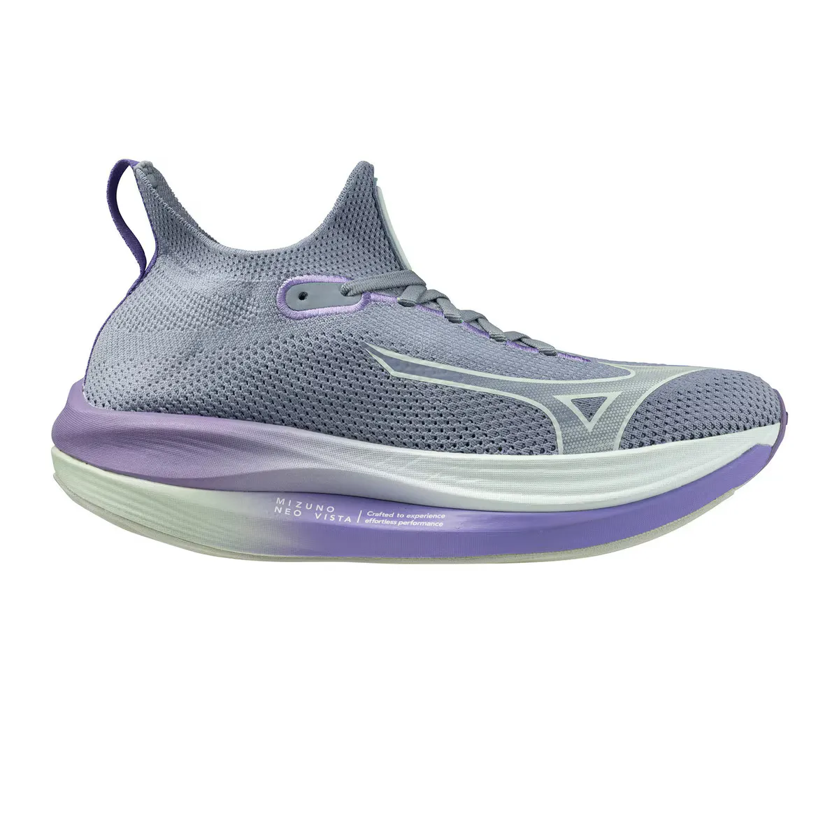 

Мужские кроссовки Mizuno Neo Vista (W), темно-серый/зеленый