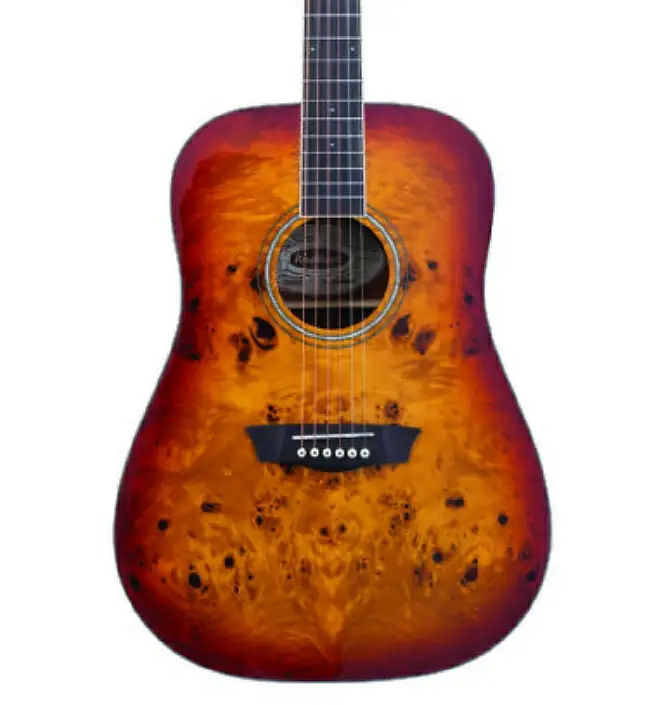 

Акустическая гитара Washburn DFBDA Deep Forest Burl Dreadnought Acoustic Guitar. Amber Fade