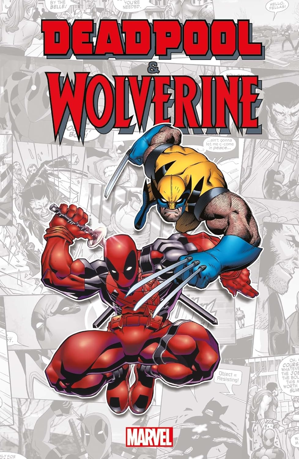 

Marvel-verse : Deadpool & Wolverine (PANINI)