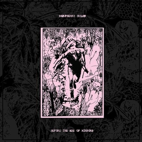 

Виниловая пластинка Raspberry Bulbs - Before The Age Of Mirrors