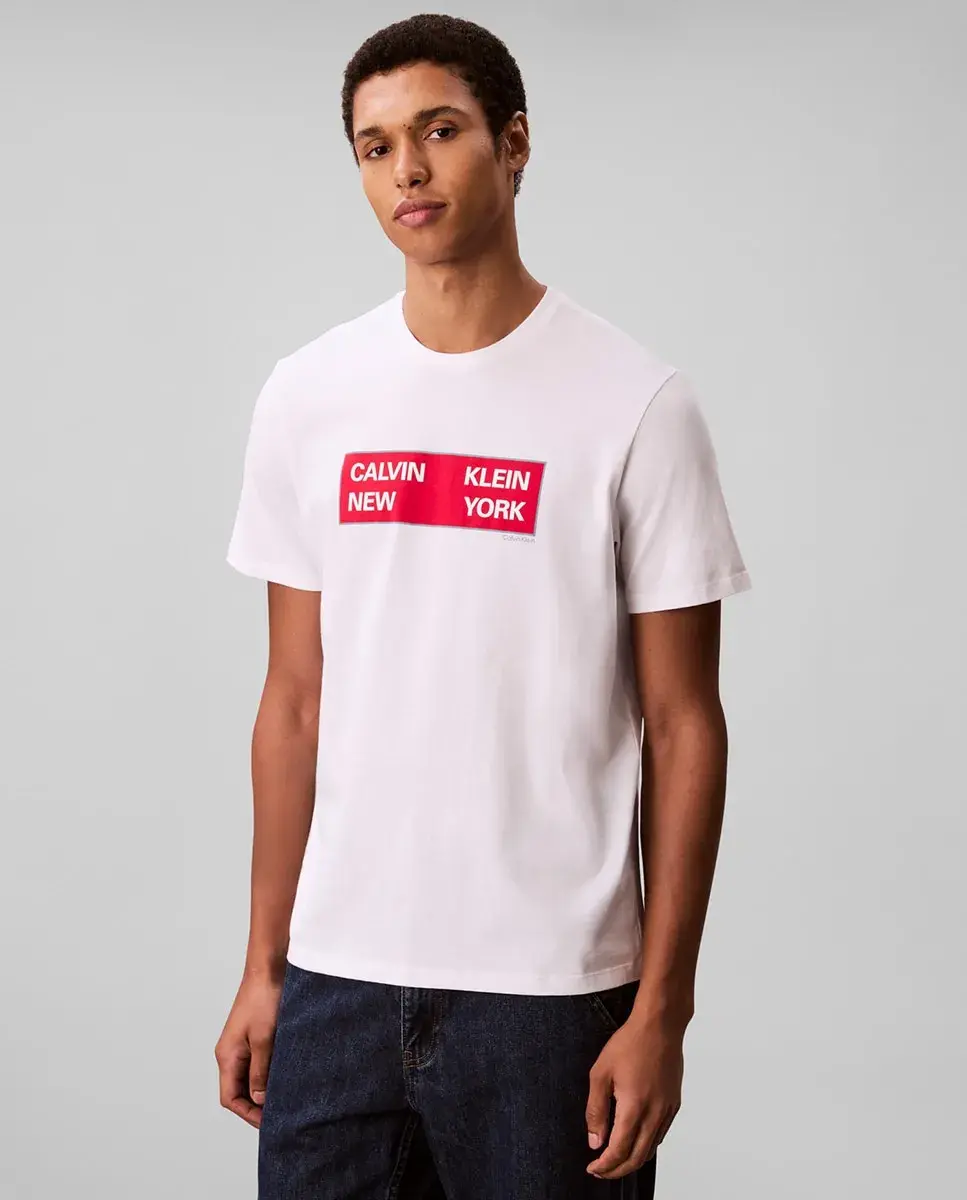 

Футболка мужская с графикой Calvin Klein Jeans, белый