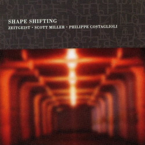 

CD диск Zeitgeist: Shape Shifting