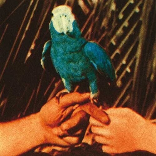 

Виниловая пластинка Bird, Andrew: Are You Serious