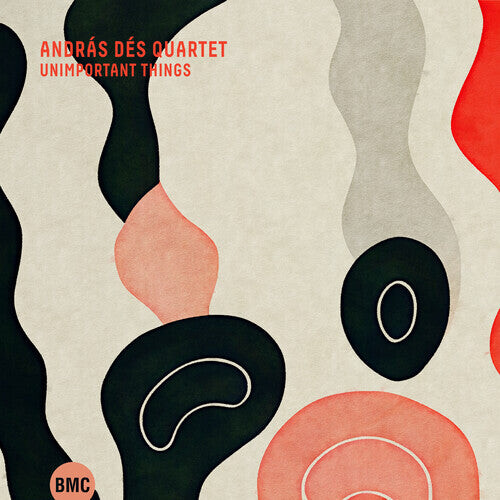 

CD диск Des, Andras: Unimportant Things