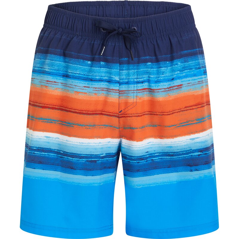 

Плавки шорты nyle Firefly, синий