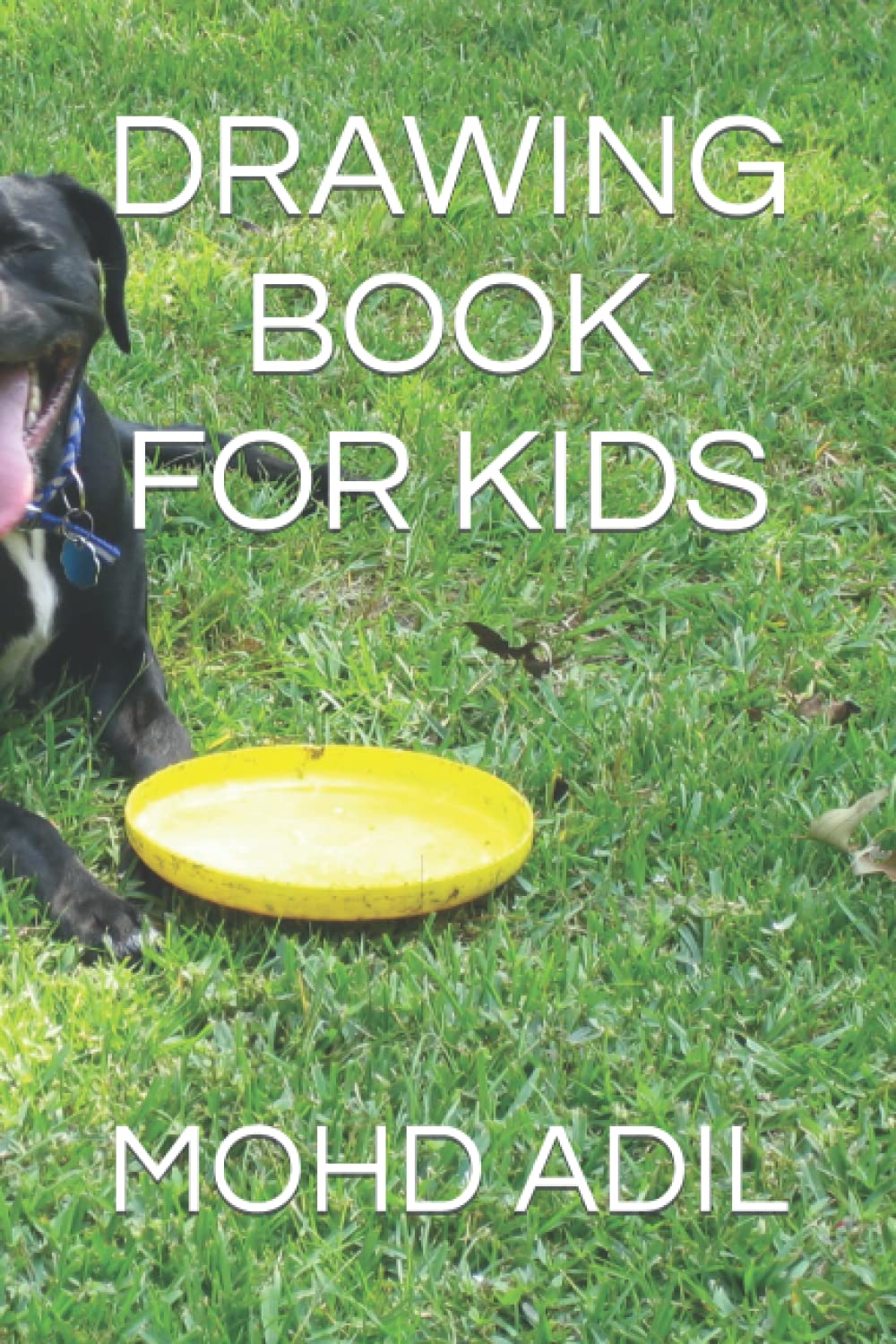

DRAWING BOOK FOR KIDS (Independently published)