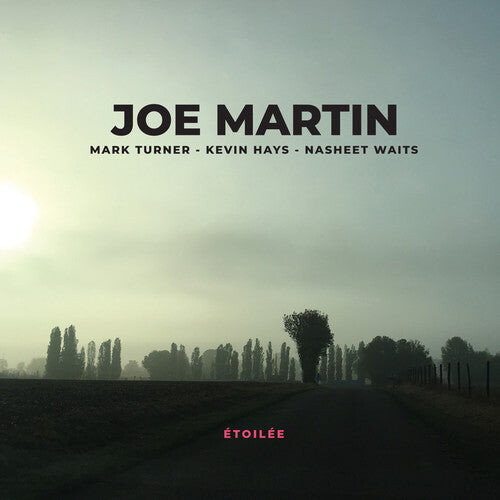 

CD диск Martin, Joe: Etoilee