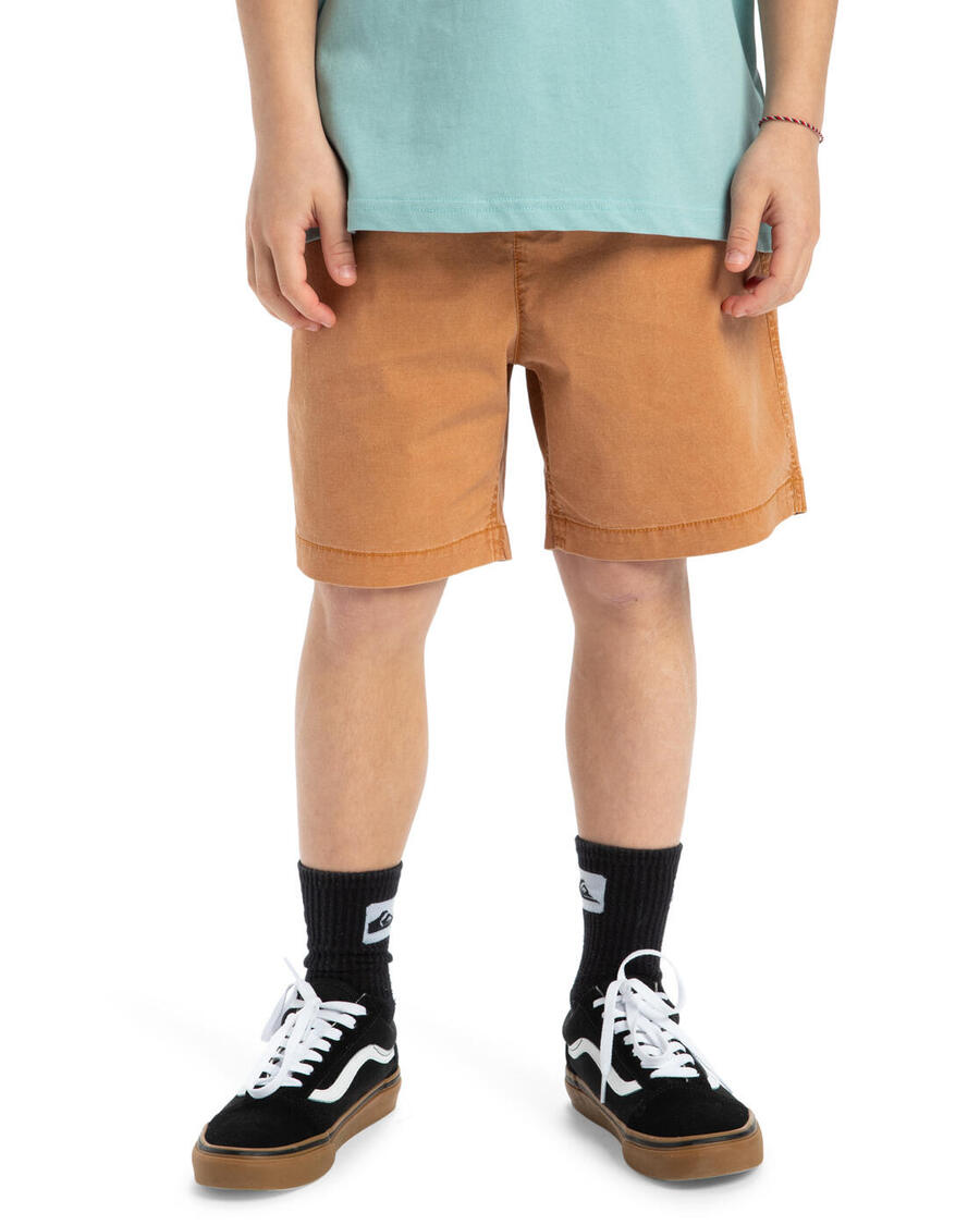 

QUIKSILVER Шорты с эластичным поясом TAXER YOUTH 15" Brown Boy