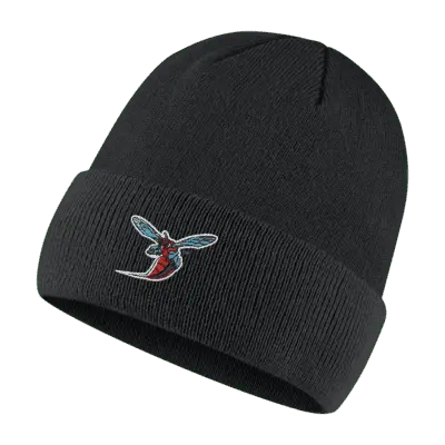 

Шапка Nike College (Delaware State) Beanie, черный