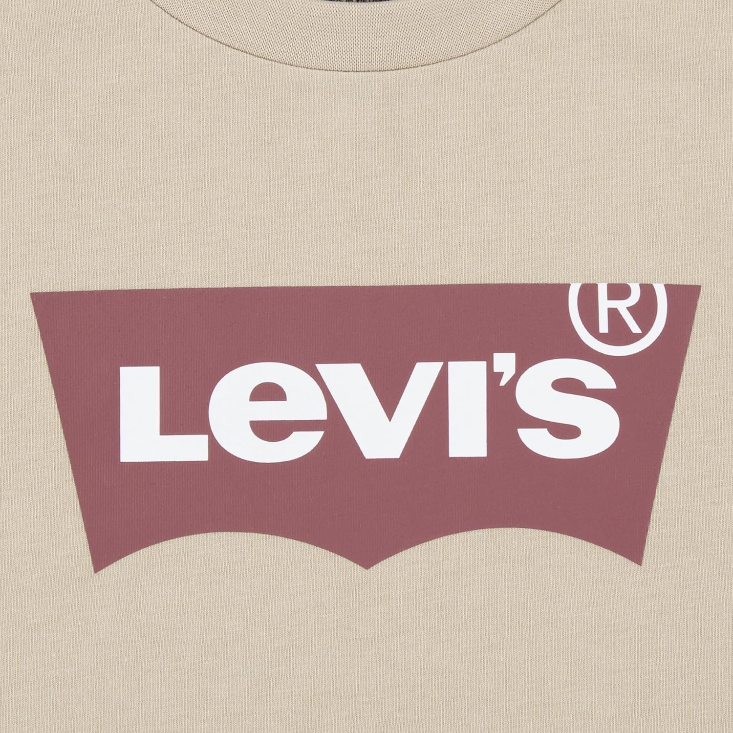 Комплект из двух предметов: футболка с принтом и шорты Levi's для мальчиков и малышей, Safari/Batwing — фото 3