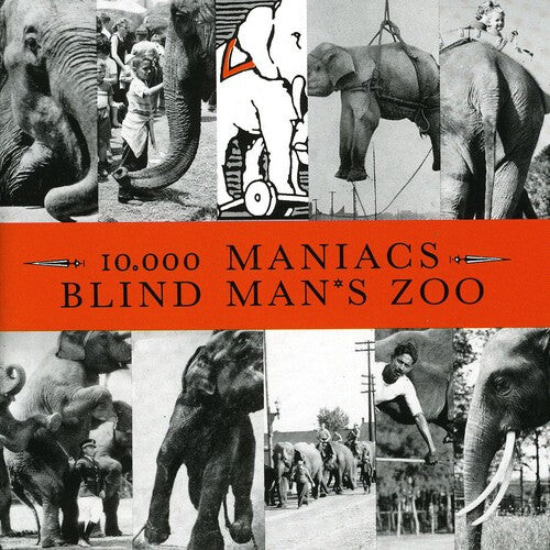 

CD диск 10,000 Maniacs: Blind Man's Zoo