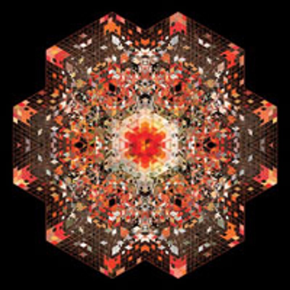 

Диск CD Half Of Where You Live - Gold Panda
