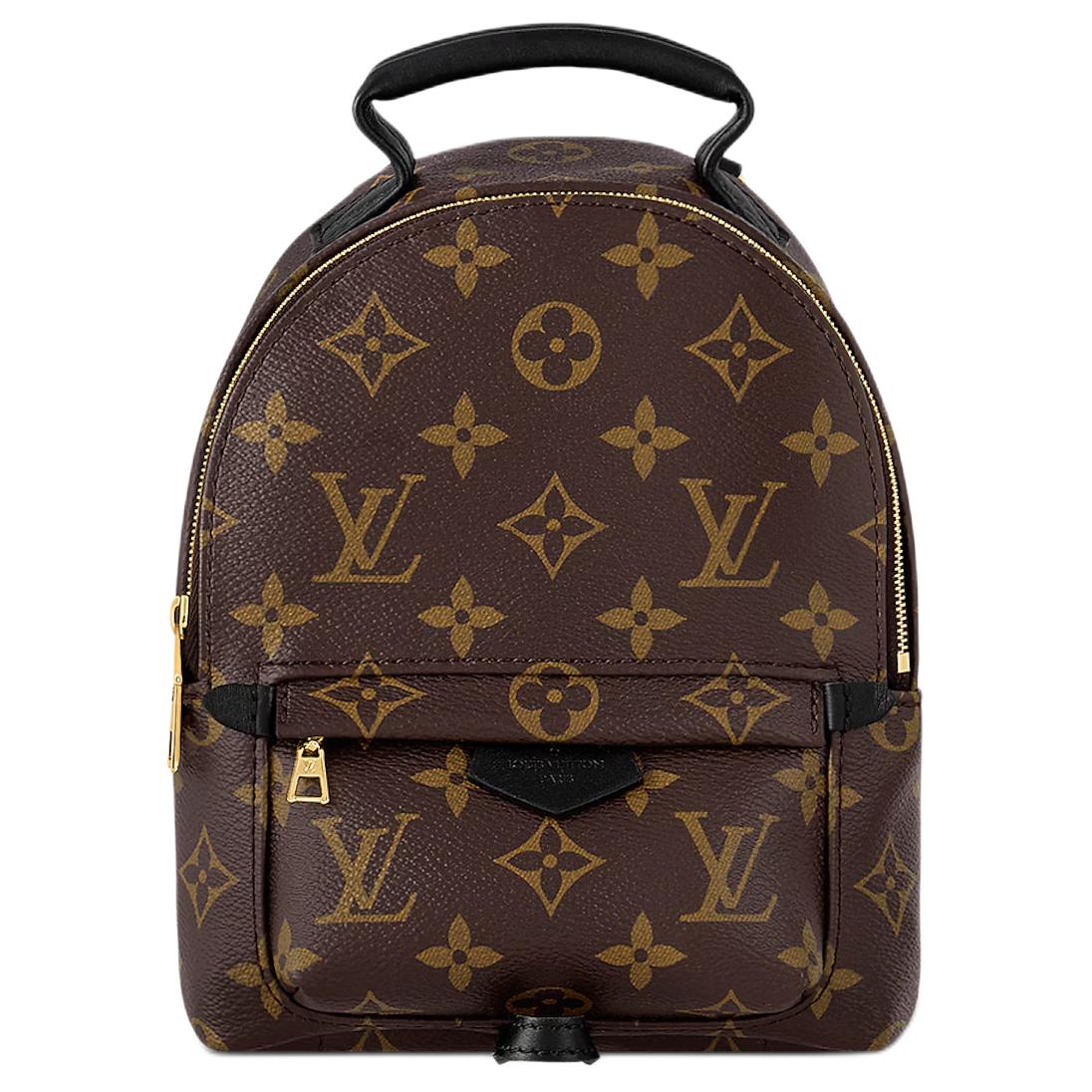 

LOUIS VUITTON Маленький рюкзак из кожи и парусины с аппликацией