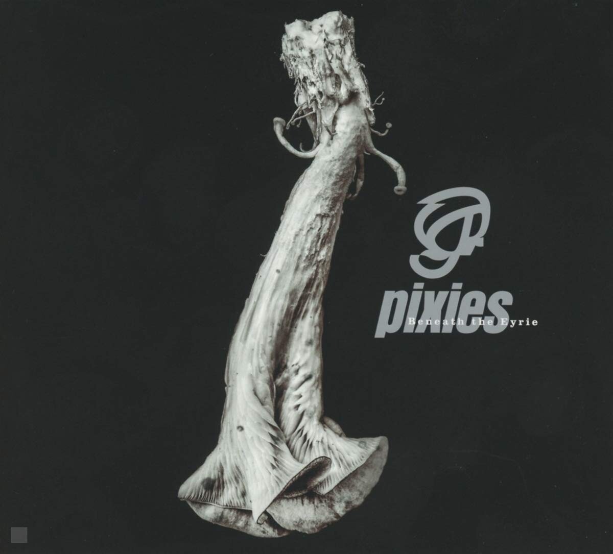 

Виниловая пластинка PIXIES - Beneath the Eyrie