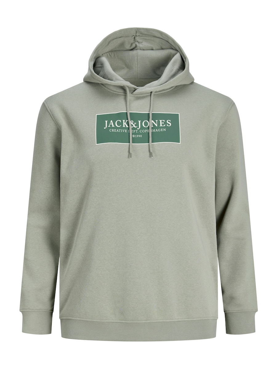 

Толстовка Jack & Jones Plus JORGREENE, Fir/Pastel Green, Зеленый, Толстовка Jack & Jones Plus JORGREENE, Fir/Pastel Green