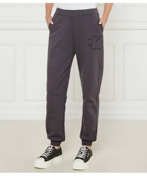 

Спортивные штаны Regular fit Calvin Klein Jeans, фиолетовый