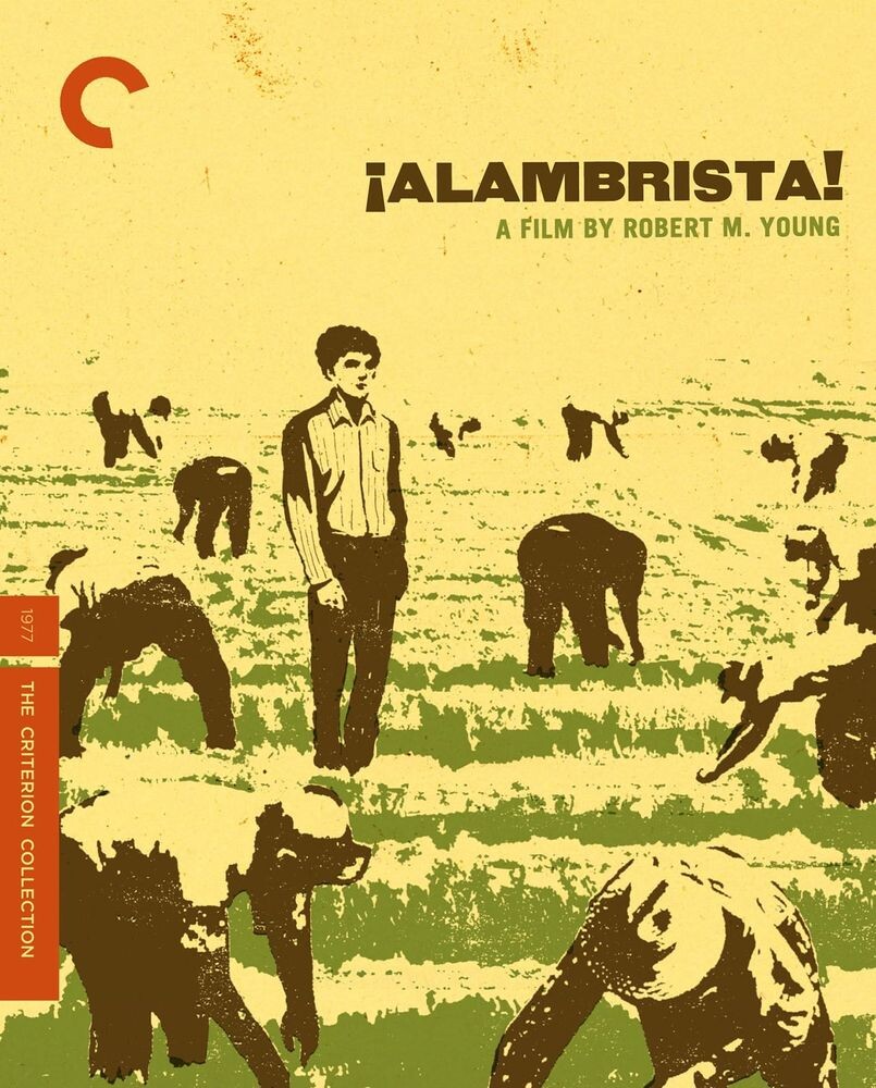 

Диск Blu-ray ¡Alambrista! [1977] [Criterion]