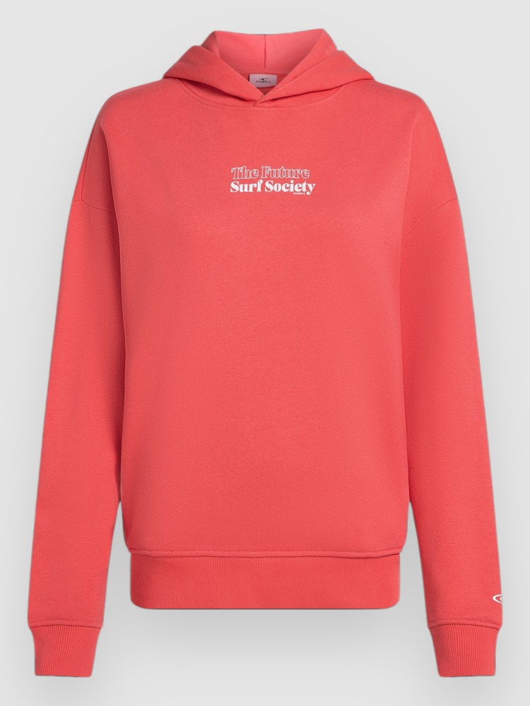 

Толстовка O'Neill The Future Surf Society Hoodie, froly