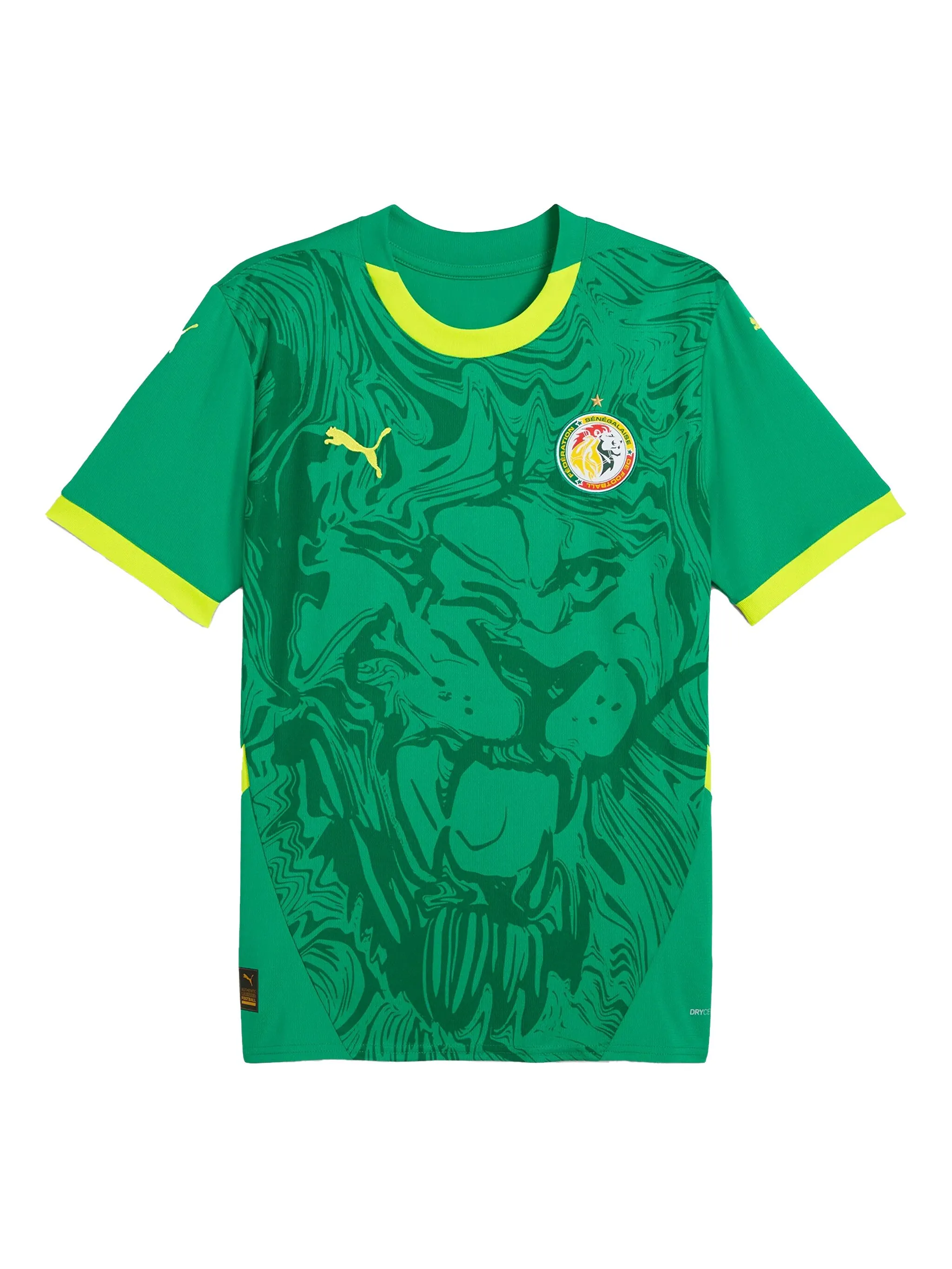 

Футболка Senegal 2025 с графичным принтом Puma, зеленый