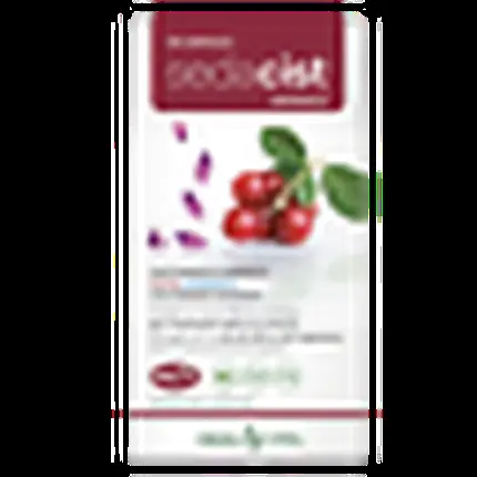 Erba Vita Sedacist Defense 15 + 15 капсул, Добавка Erba Vita Group Spa