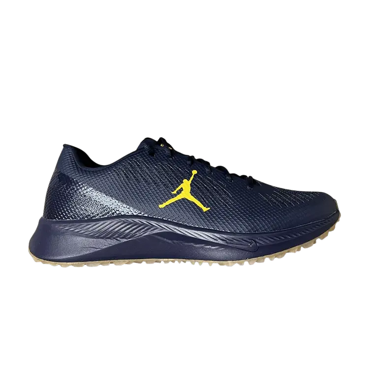 

Кроссовки Air Jordan Jordan Vapor Edge TF SMU 'Michigan Wolverines', синий