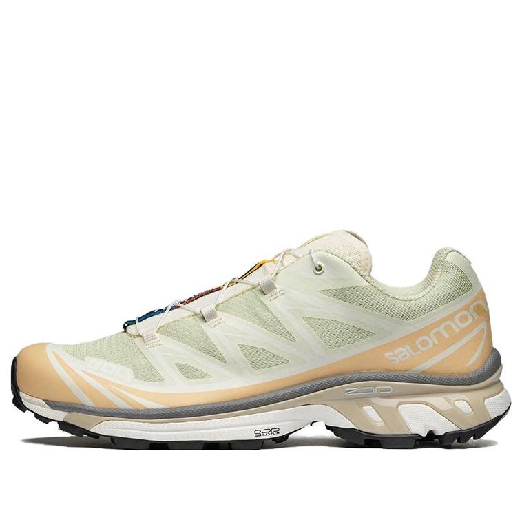 

Кроссовки Salomon XT-6 'Aloe Wash Hazelnut' 472937, зеленый