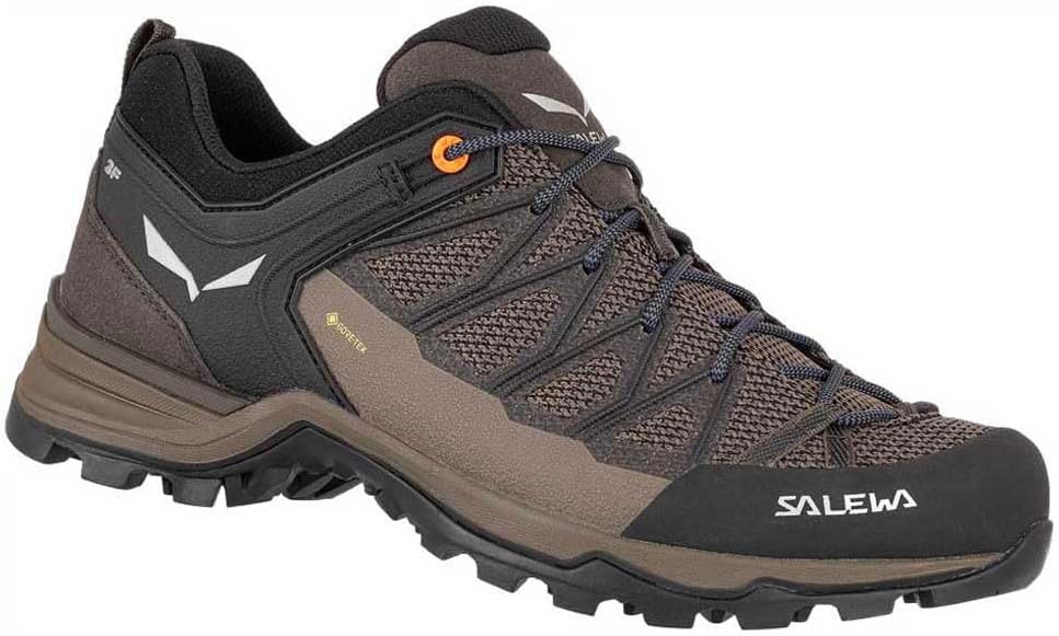 Мужские кроссовки Salewa MS MTN Trainer Lite GTX, Braun — фото 2