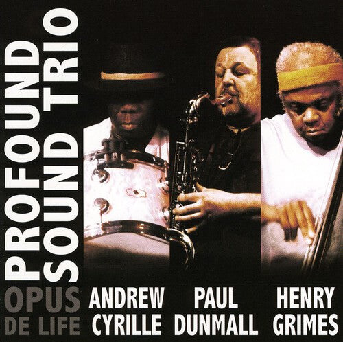 

CD диск Profound Sound Trio: Opus de Life