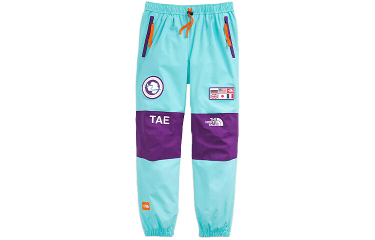 

THE NORTH FACE Мужские лыжные брюки, цвет Blue