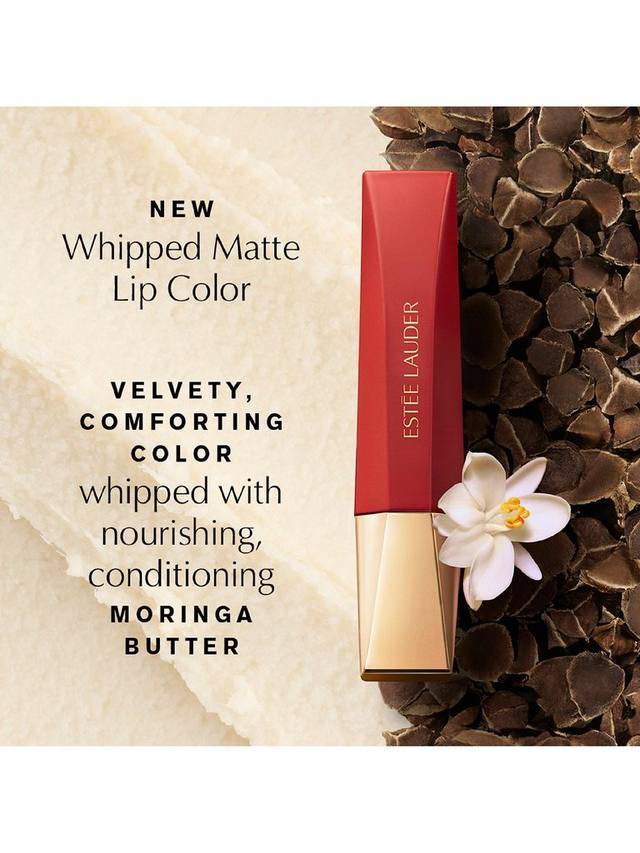 Жидкая матовая помада Pure Colour с маслом моринги Estée Lauder, 925 Social Whirl — фото 3