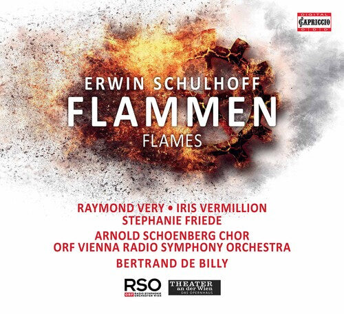 

CD диск Schulhoff: Flammen