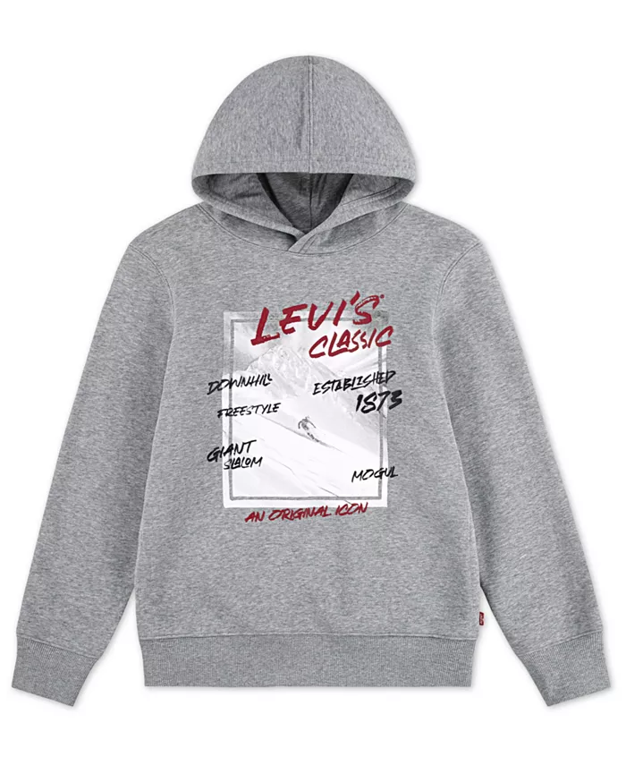 

Байс с капюшоном Boys 8-20 Black Diamond Levi'S, серый