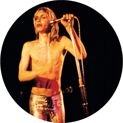 

Виниловая пластинка Iggy & The Stooges: More Power