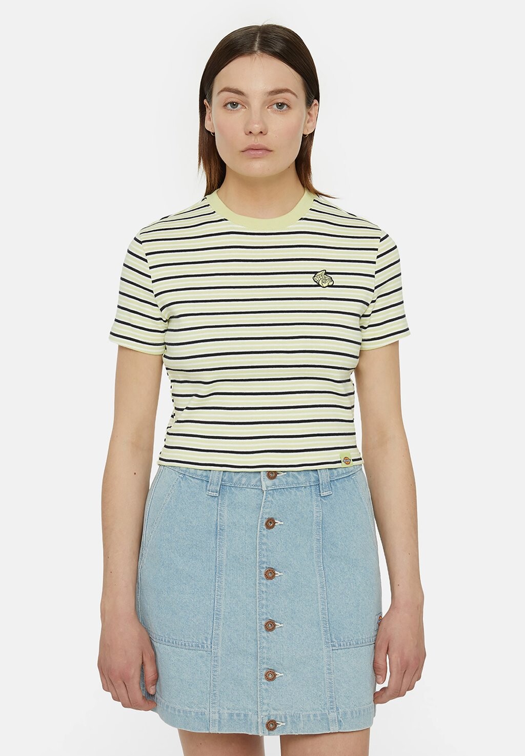 

Футболка с принтом ALTOONA Dickies, цвет pale green