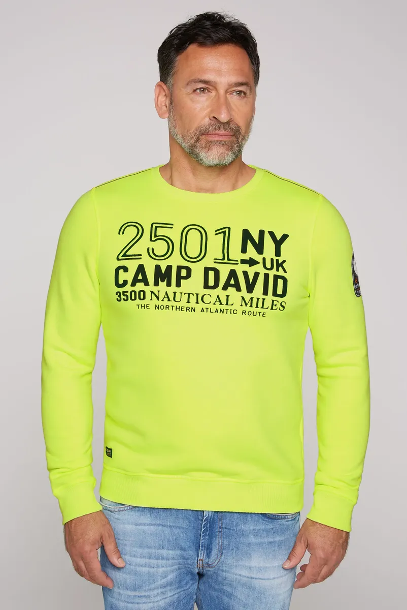 

Свитер CAMP DAVID из хлопка, зеленый