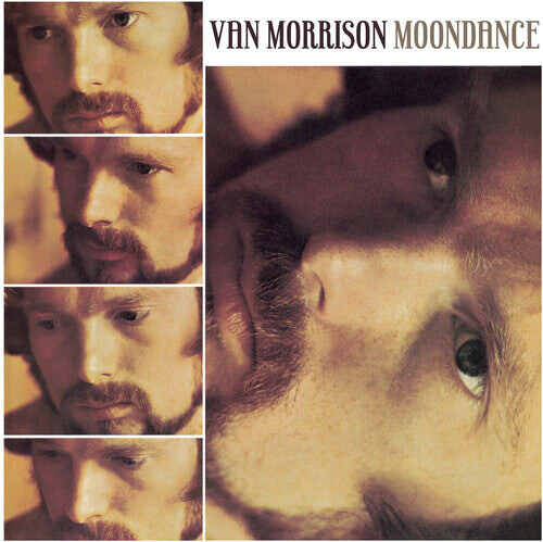 

Виниловая пластинка Morrison, Van: Moondance
