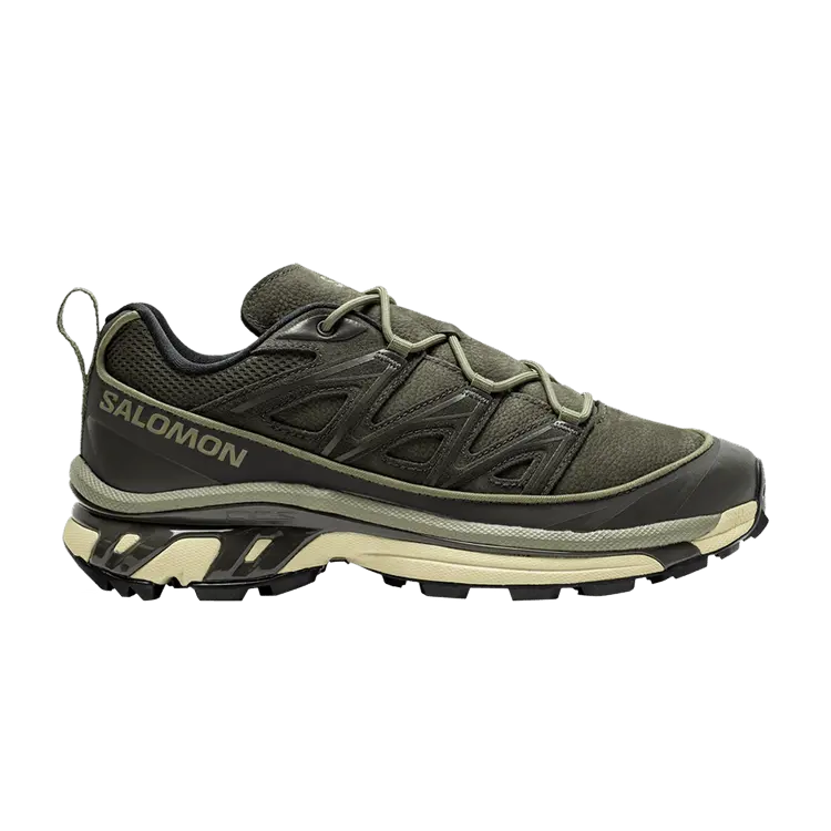 

Кроссовки Salomon XT-6 Expanse Leather 'Deep Lichen Green', зеленый
