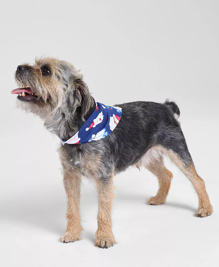 

Коллекция пижам Santa Family Holiday Lane